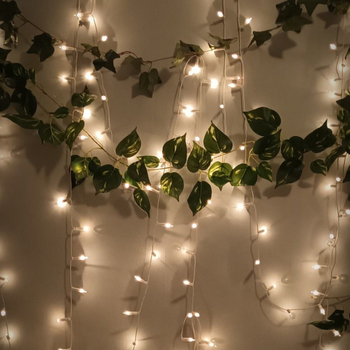 img21.Light Decoration in Haldwani
