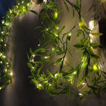 img26.Light Decoration in Haldwani