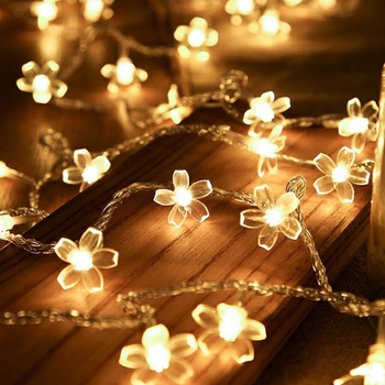 img27.Light Decoration in Haldwani