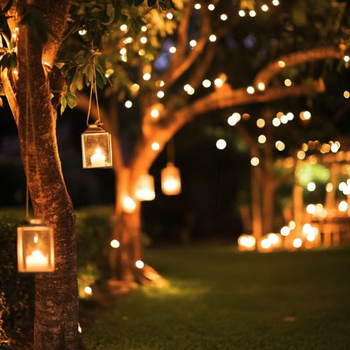 Light-Decoration-in-Haldwani
